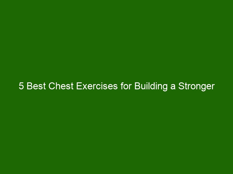 5 Best Chest Exercises For Building A Stronger Upper Body Health And Beauty 4042