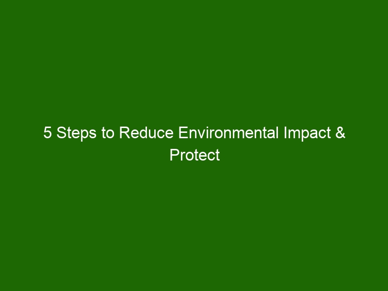 5 Steps To Reduce Environmental Impact & Protect Our Planet - Health ...