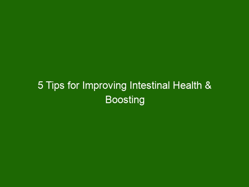 5 Tips for Improving Intestinal Health & Boosting Digestion - Health ...