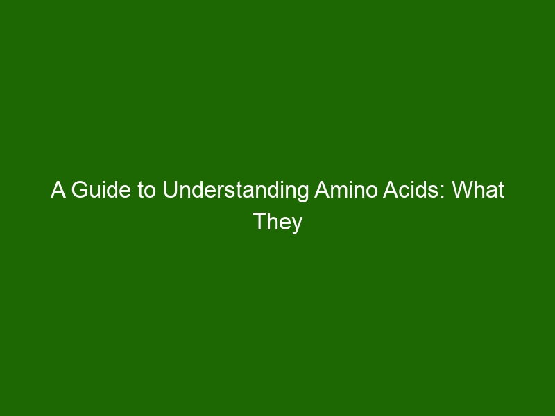 A Guide To Understanding Amino Acids What They Are And Their Benefits Health And Beauty 9096