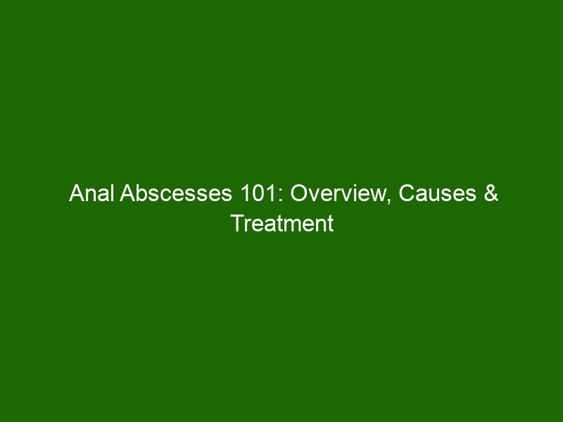 Anal Abscesses 101 Overview Causes And Treatment Options Health And