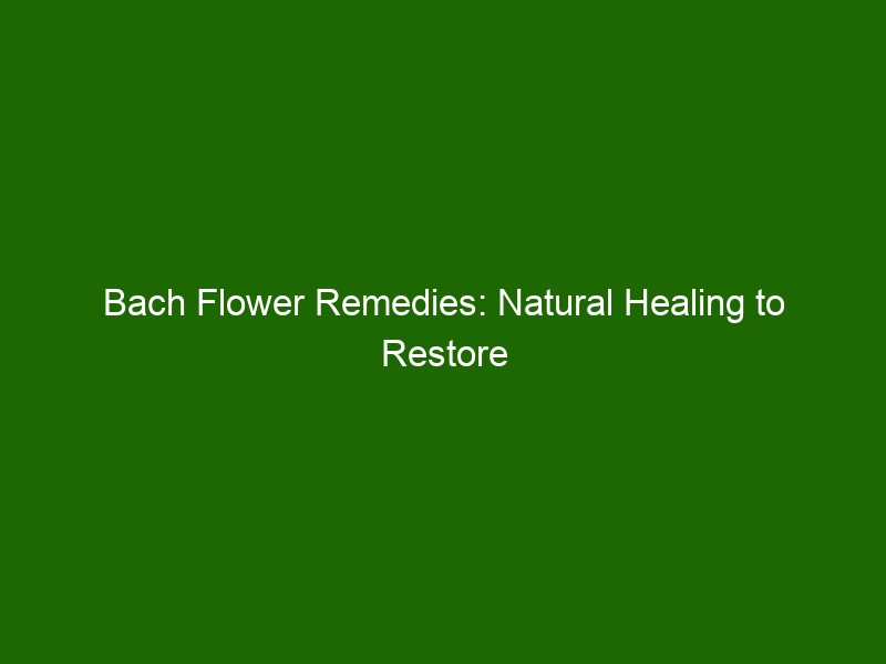 Bach Flower Remedies Natural Healing To Restore Emotional Balance Health And Beauty 6619