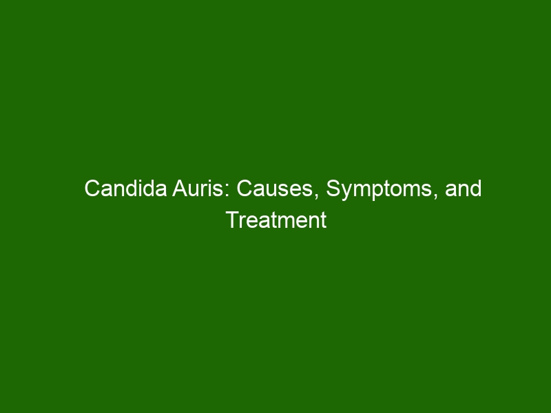 Candida Auris Causes Symptoms And Treatment Health And Beauty 