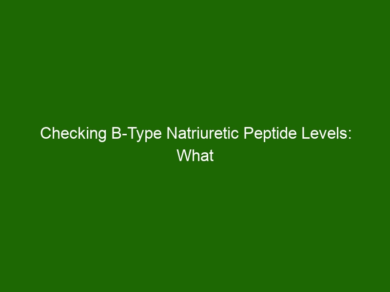 Checking B-Type Natriuretic Peptide Levels: What You Need To Know ...