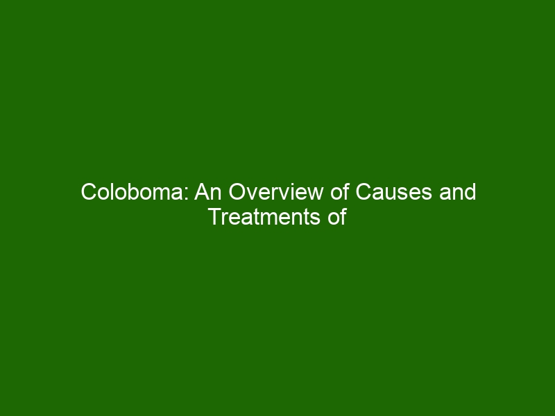 coloboma-an-overview-of-causes-and-treatments-of-iris-defects-health