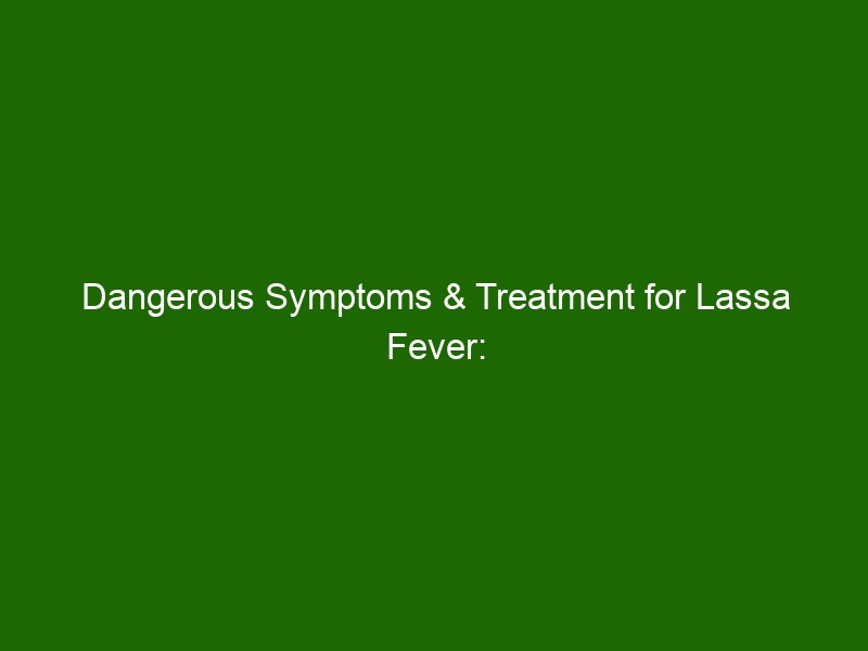 Dangerous Symptoms Treatment For Lassa Fever Understanding The Viral   Dangerous Symptoms Treatment For Lassa Fever Understanding The Viral Infection 24935 