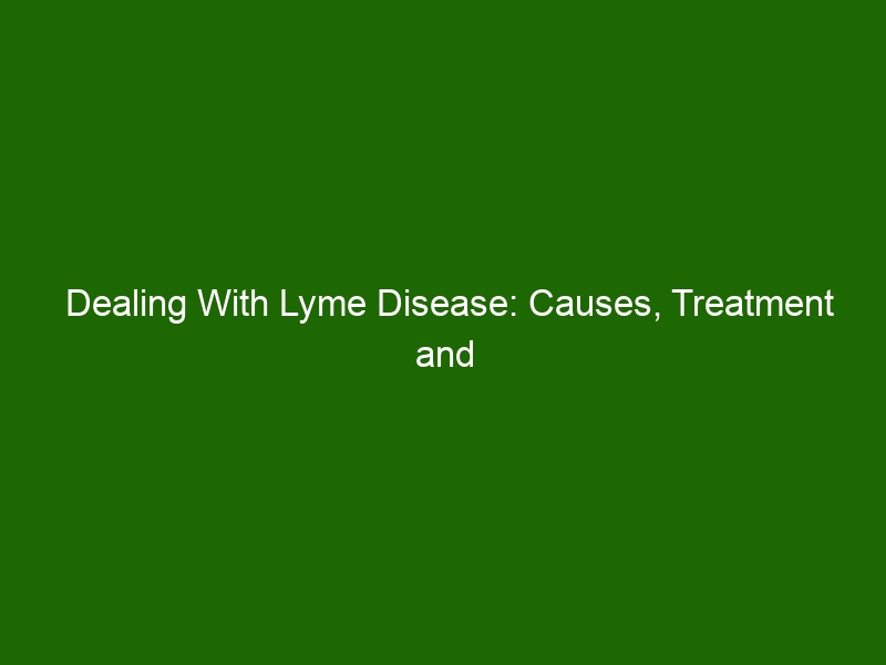 Dealing With Lyme Disease Causes Treatment And Prevention 8043 