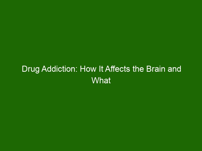 Drug Addiction How It Affects The Brain And What Can Be Done To Treat It Health And Beauty 2609