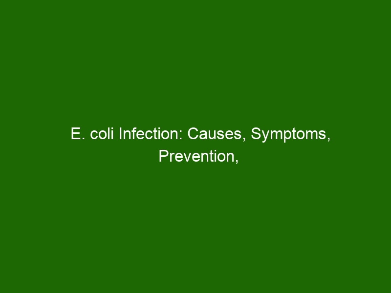 E. Coli Infection: Causes, Symptoms, Prevention, And Treatment - Health ...