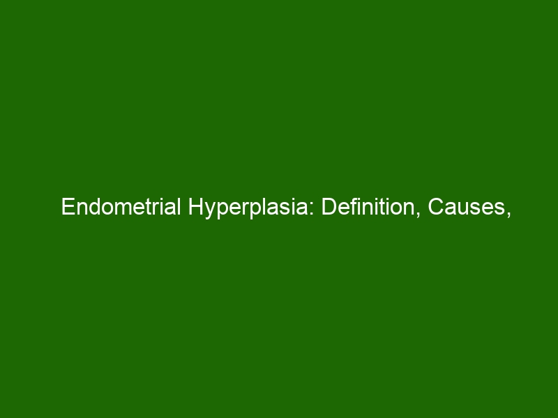 Endometrial Hyperplasia Definition Causes Symptoms And Treatment Health And Beauty 0785