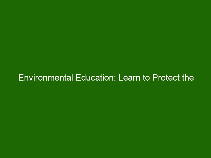 Environmental Education: Learn to Protect the Planet for Future ...