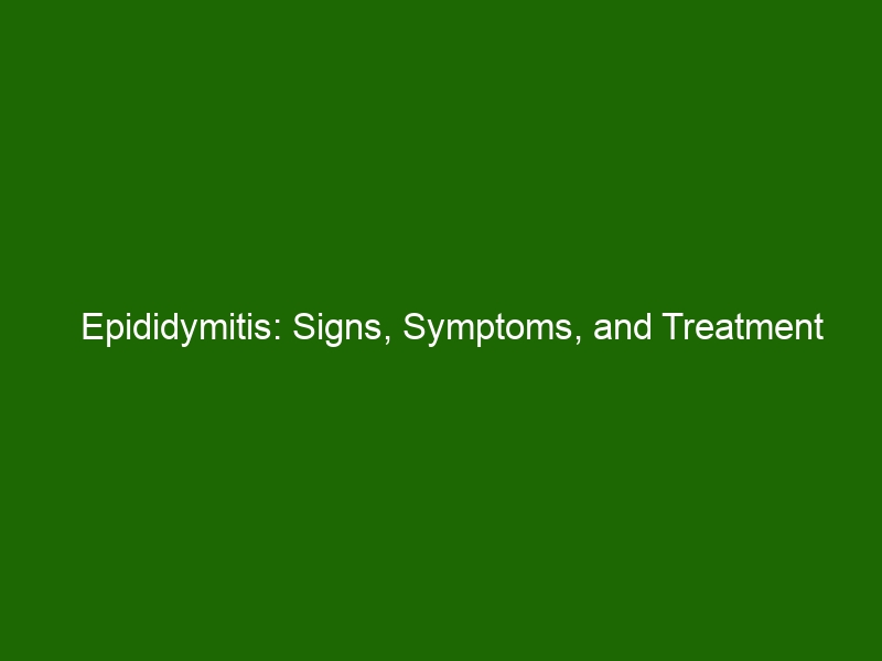 Epididymitis Signs Symptoms And Treatment Health And Beauty 