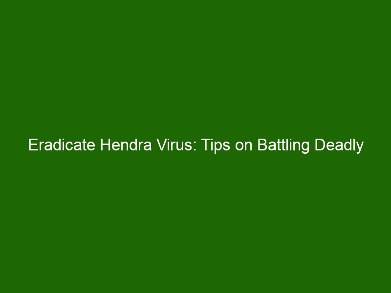 Eradicate Hendra Virus: Tips on Battling Deadly Disease in Animals and ...