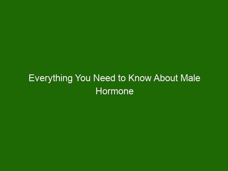 Everything You Need to Know About Male Hormone Therapy - Health And Beauty