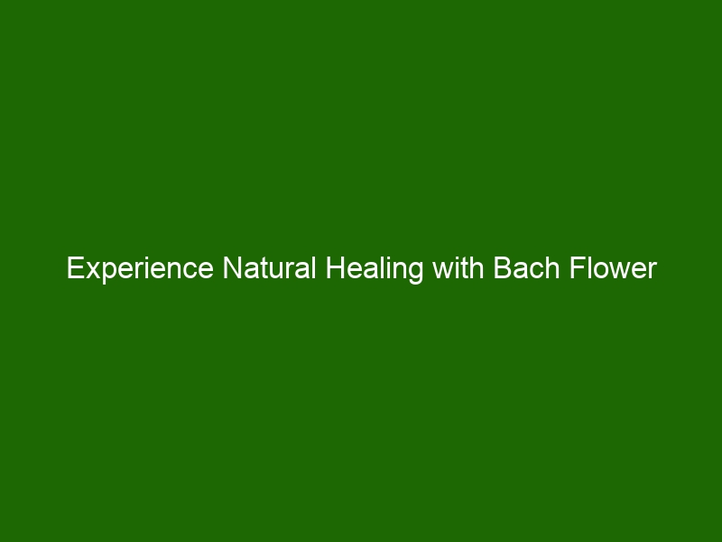 Experience Natural Healing With Bach Flower Remedies: Unlock Your Inner ...