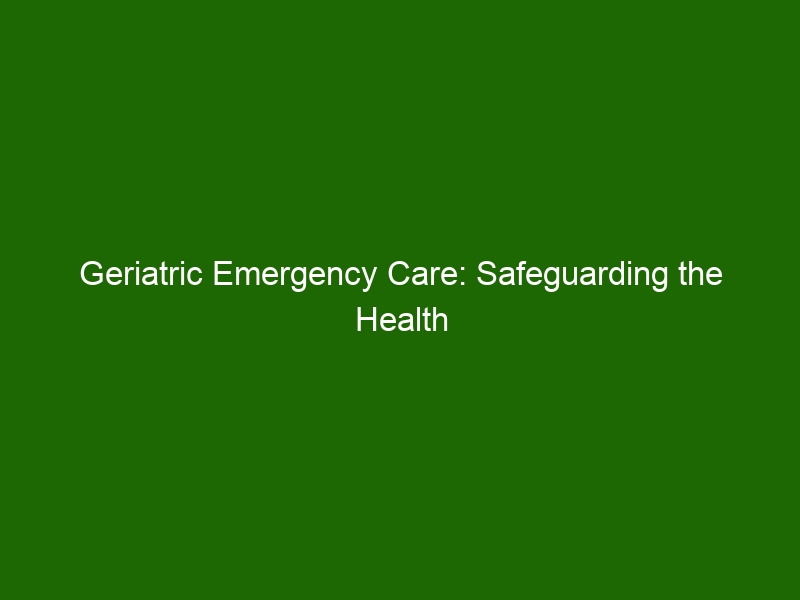 Geriatric Emergency Care: Safeguarding the Health of the Elderly ...