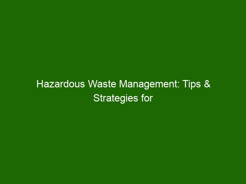 Hazardous Waste Management: Tips & Strategies For A Safer Environment ...