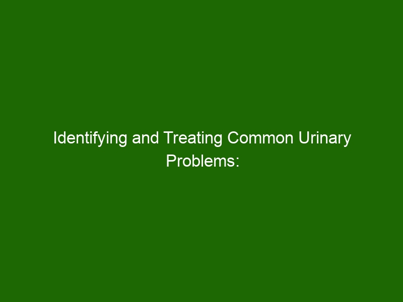 Identifying And Treating Common Urinary Problems Urological Health Solutions Health And Beauty