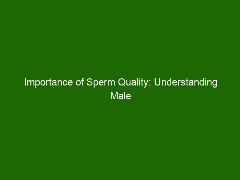 Importance Of Sperm Quality Understanding Male Fertility And How To