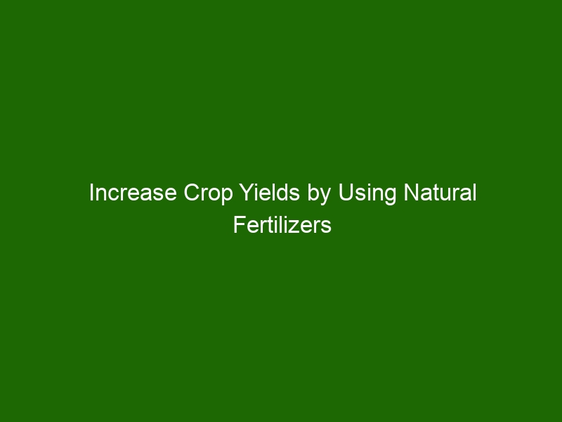 Increase Crop Yields By Using Natural Fertilizers Tips And Benefits Health And Beauty 5381