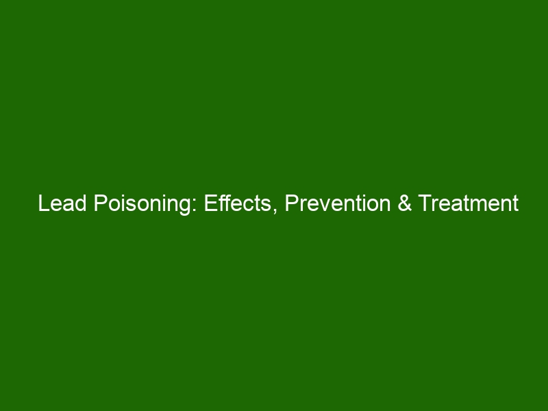 Lead Poisoning Effects Prevention And Treatment Of Lead Exposure Health And Beauty 2426