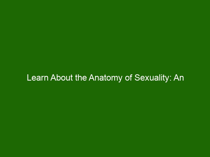 Learn About The Anatomy Of Sexuality An Exploration Of Human Sexuality Health And Beauty 4530