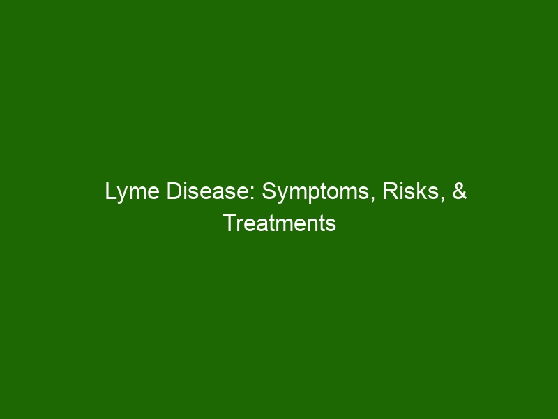 Lyme Disease: Symptoms, Risks, & Treatments - Health And Beauty