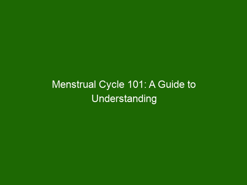 Menstrual Cycle 101 A Guide To Understanding Your Period Health And