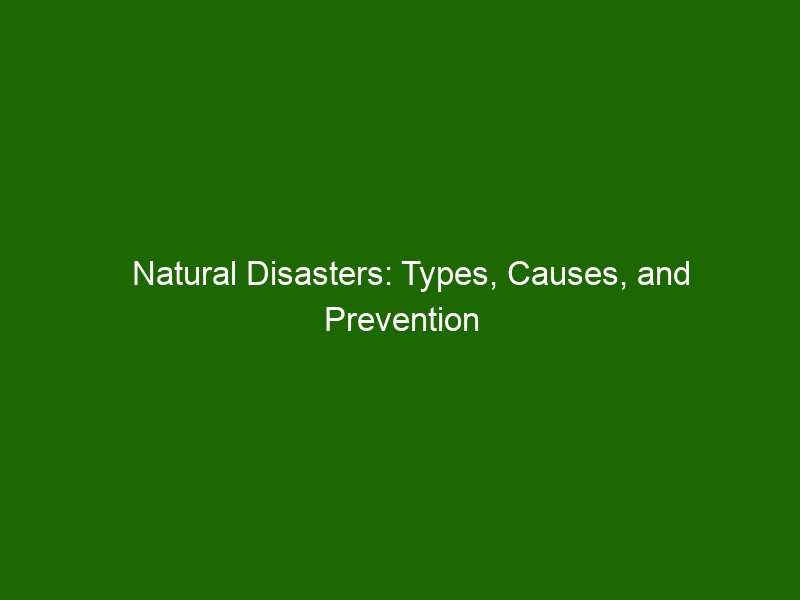 Natural Disasters: Types, Causes, And Prevention Tips - Health And Beauty