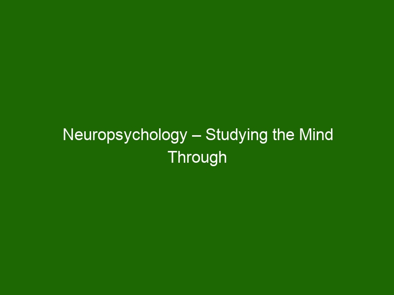 Neuropsychology – Studying the Mind Through Neuroscience and Psychology ...