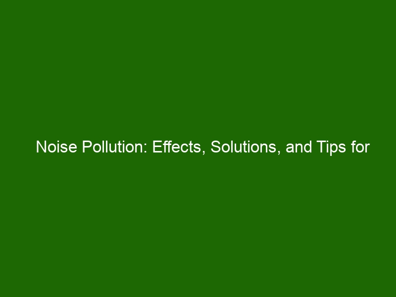 Noise Pollution: Effects, Solutions, And Tips For Reducing Noise Around 