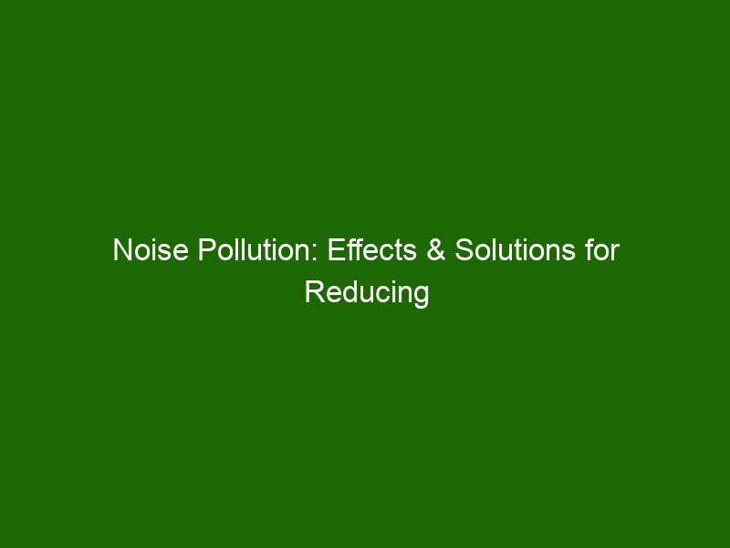 Noise Pollution: Effects & Solutions for Reducing Exposure - Health And ...