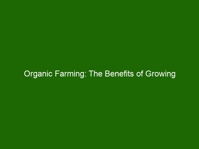 Organic Farming: The Benefits Of Growing Sustainable & Natural Food ...