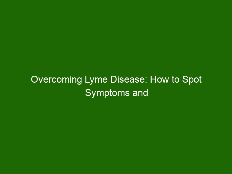 Overcoming Lyme Disease: How to Spot Symptoms and Get Treatment ...