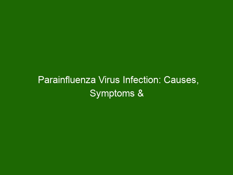 Parainfluenza Virus Infection Causes Symptoms And Treatments Health