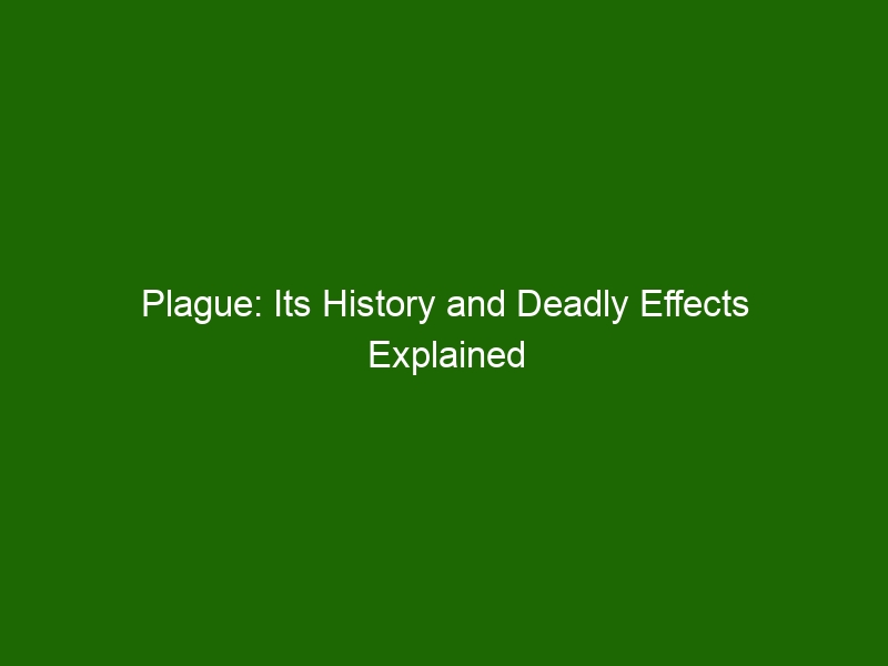 Plague: Its History And Deadly Effects Explained - Health And Beauty