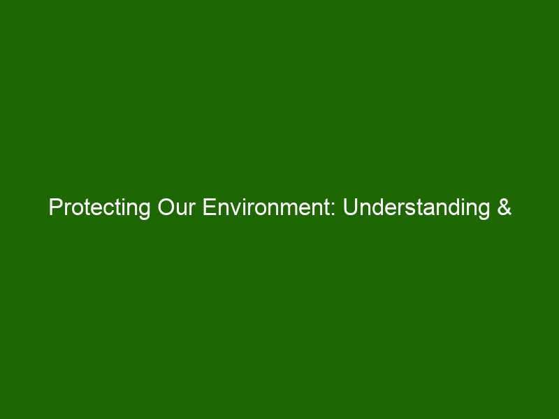 Protecting Our Environment: Understanding & Improving Environmental ...