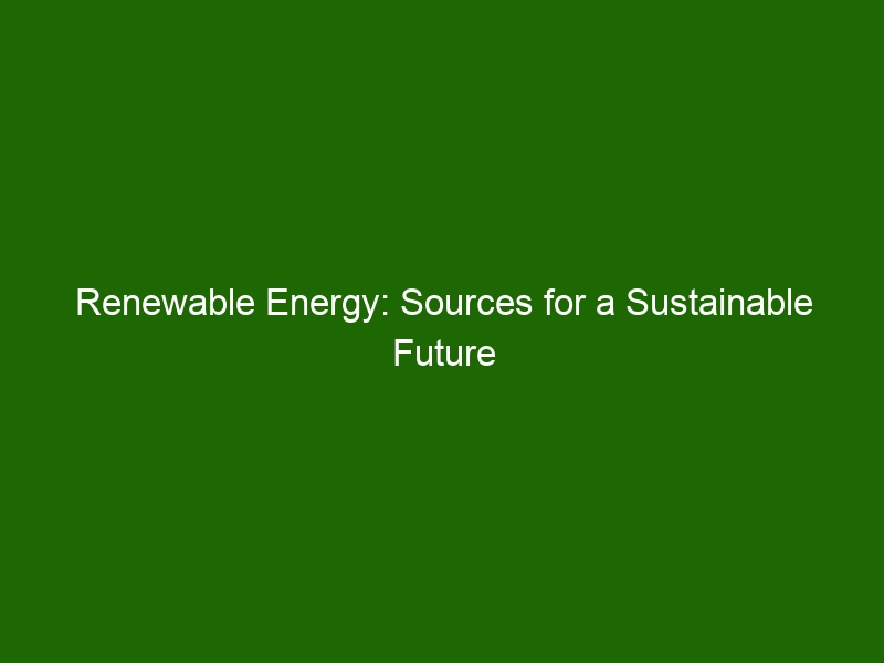 Renewable Energy: Sources for a Sustainable Future - Health And Beauty