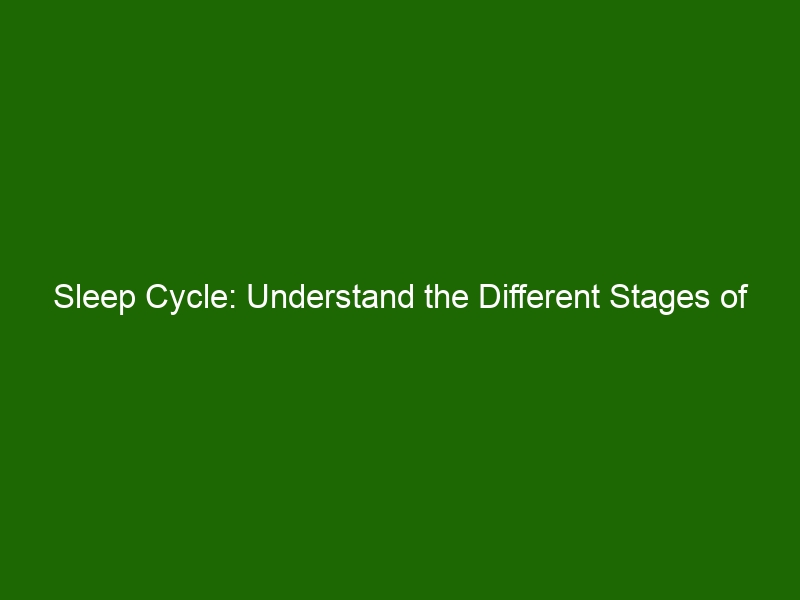 sleep-cycle-understand-the-different-stages-of-sleep-for-better-rest