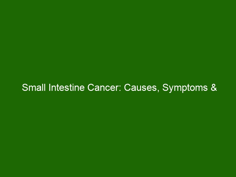 Small Intestine Cancer Causes Symptoms And Treatment Health And Beauty