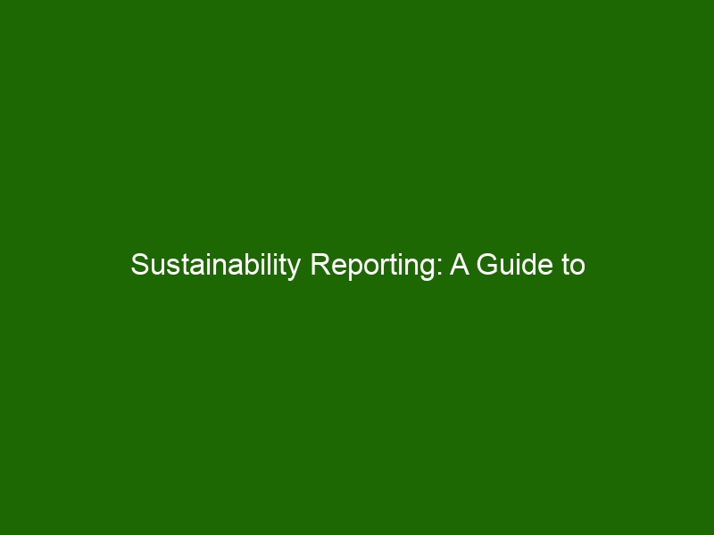 Sustainability Reporting: A Guide To Understanding And Implementing It ...