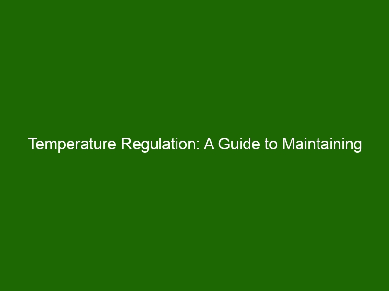 temperature-regulation-a-guide-to-maintaining-your-body-s-optimal