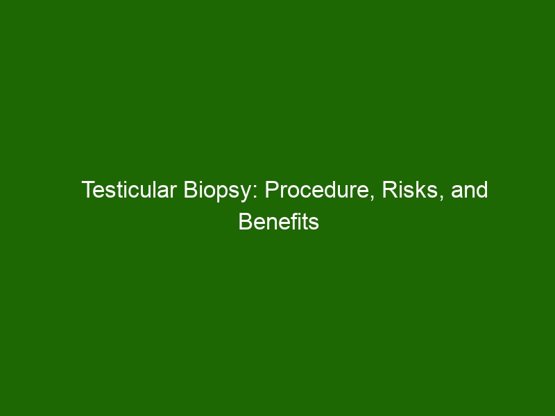 Testicular Biopsy Procedure Risks And Benefits Health And Beauty