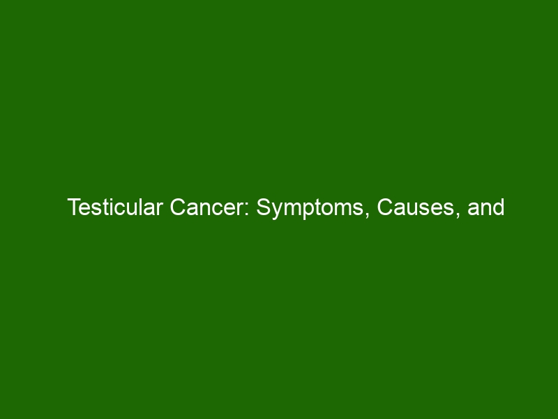 Testicular Cancer Symptoms, Causes, and Treatment Options Health And