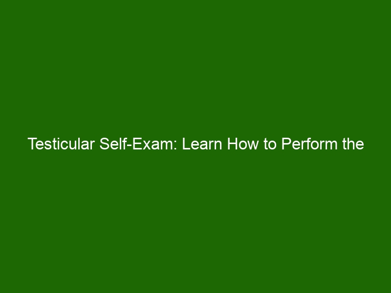 Testicular Self Exam Learn How To Perform The Routine Check Health