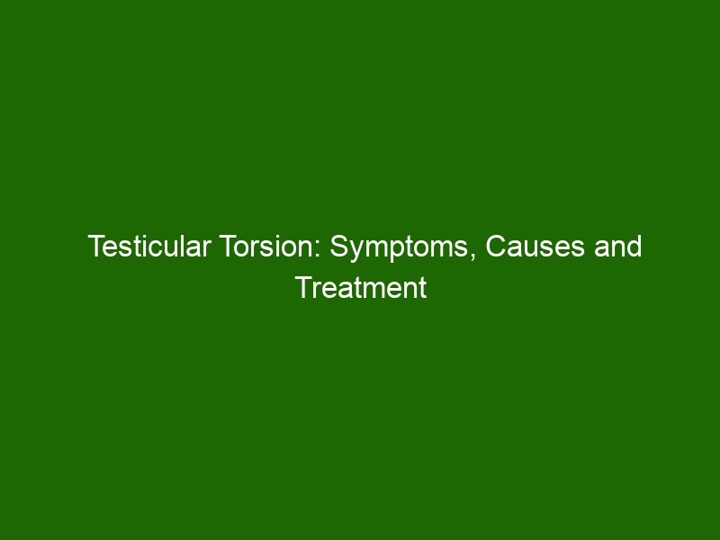 Testicular Torsion Symptoms Causes And Treatment Health And Beauty 8217