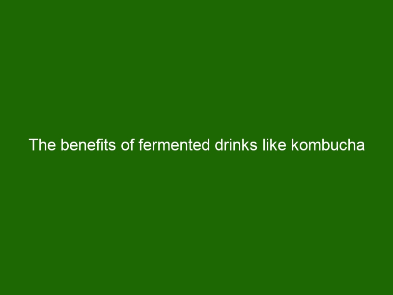 The Benefits Of Fermented Drinks Like Kombucha - Health And Beauty