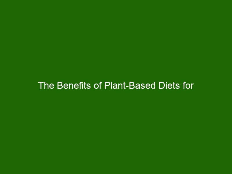 The Benefits Of Plant Based Diets For Cardiovascular Health Health And Beauty 1374