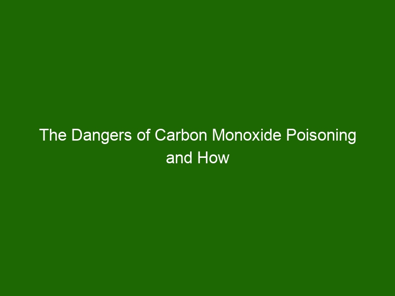 The Dangers Of Carbon Monoxide Poisoning And How To Prevent It Health And Beauty 9619