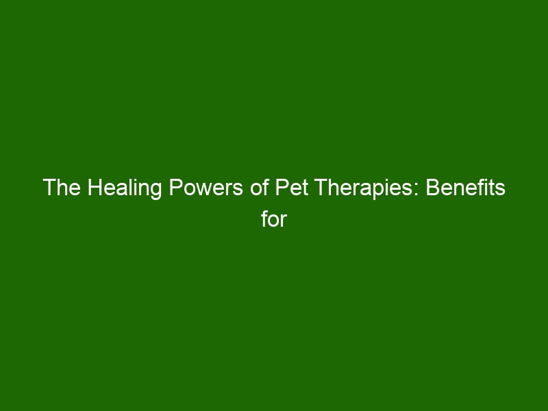 The Healing Powers Of Pet Therapies: Benefits For Your Mental ...